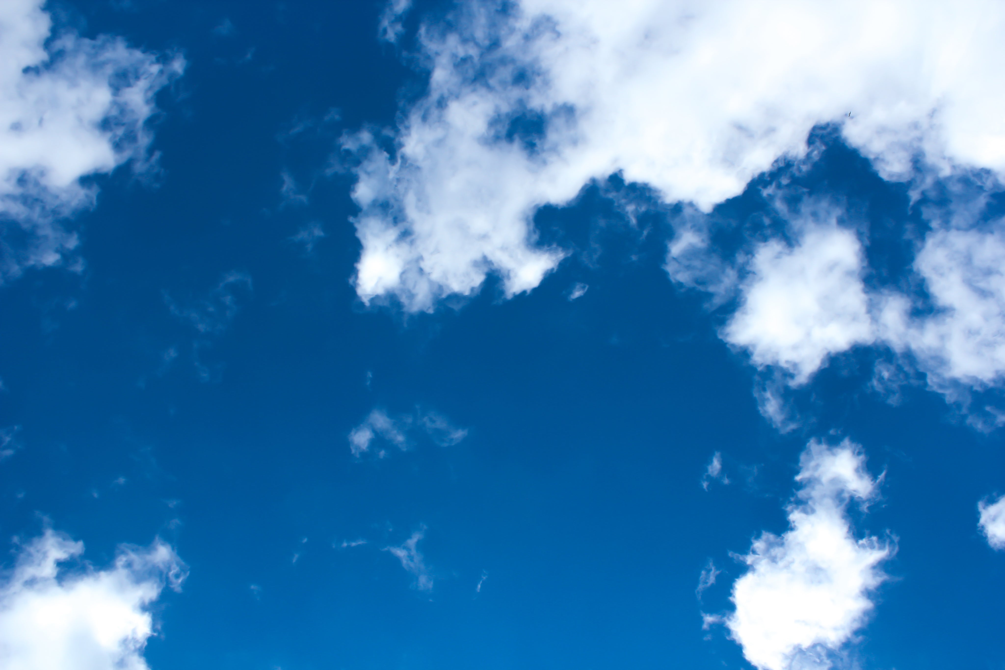 bright-blue-sky-dotted-with-fluffy-white-clouds