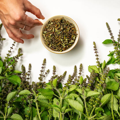 Tulsi Herbal Tea