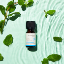 Peppermint Essential Oil | 100% Pure Aromatherapy Oil
