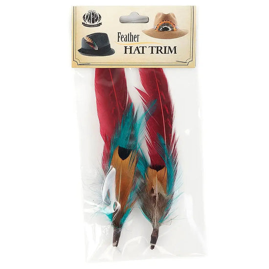 Pheasant Feather (2 Pack) with colors of Aqua & Tango Red