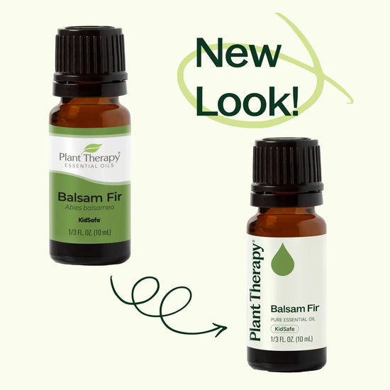Balsam Fir Essential Oil (10mL)