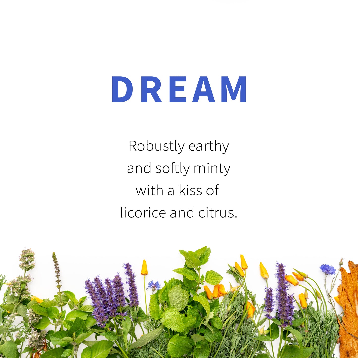 Herbal Tea Blend, Dream (Promotes Sleep)