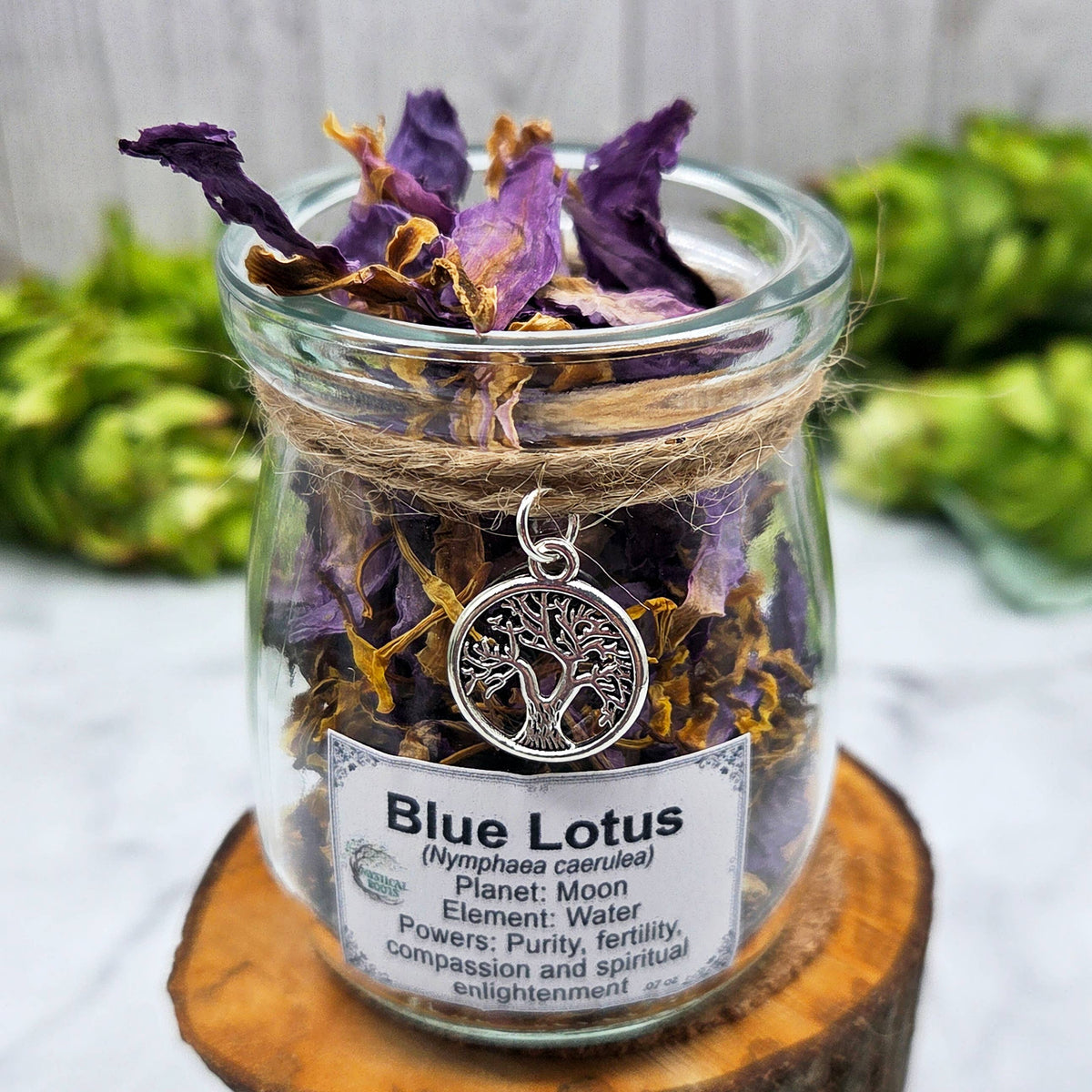 Blue Lotus Apothecary Herb Jar