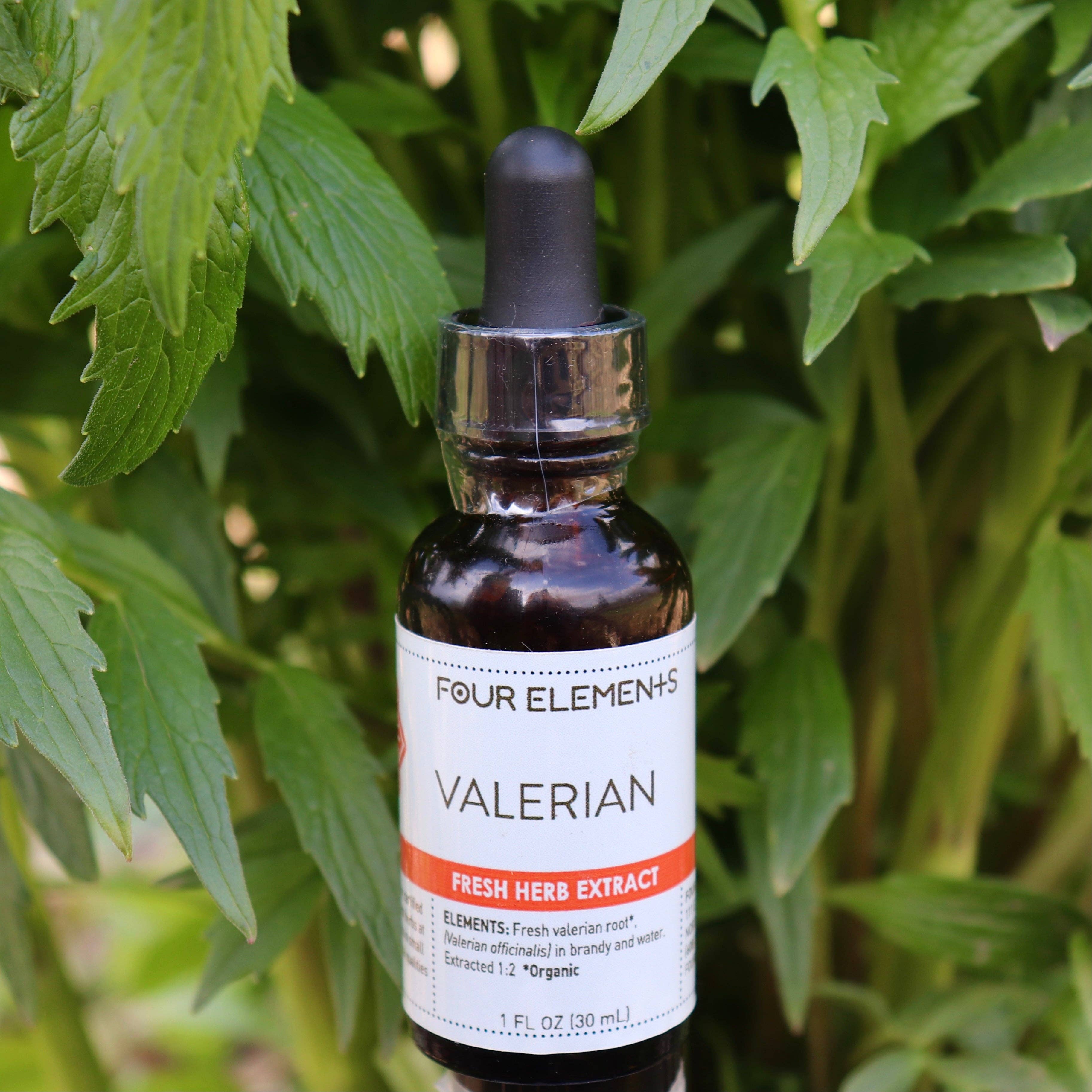 Valerian Herb Tincture - 1 oz