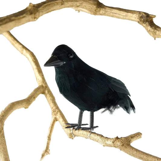 Black Bird with Feathers