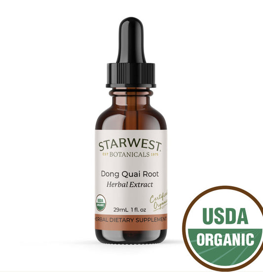 Dong Quai Root Herbal Extract
