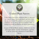 Valerian Root Capsules (Organic)