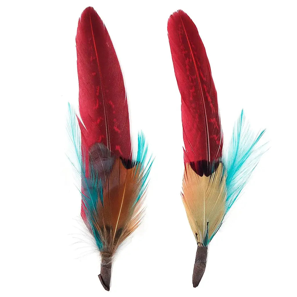 Pheasant Feather (2 Pack) with colors of Aqua & Tango Red