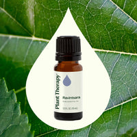 Ravintsara Essential Oil 10 mL