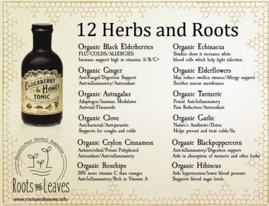Elderberry & Honey Tonic - Made with 12 Herbs, Roots, & Spice Tonic (Organic, 16 oz)