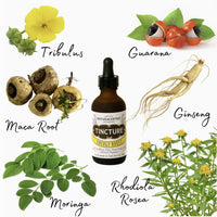 Energy Boost Tincture (Caffeine Free) - With Ginseng & Maca