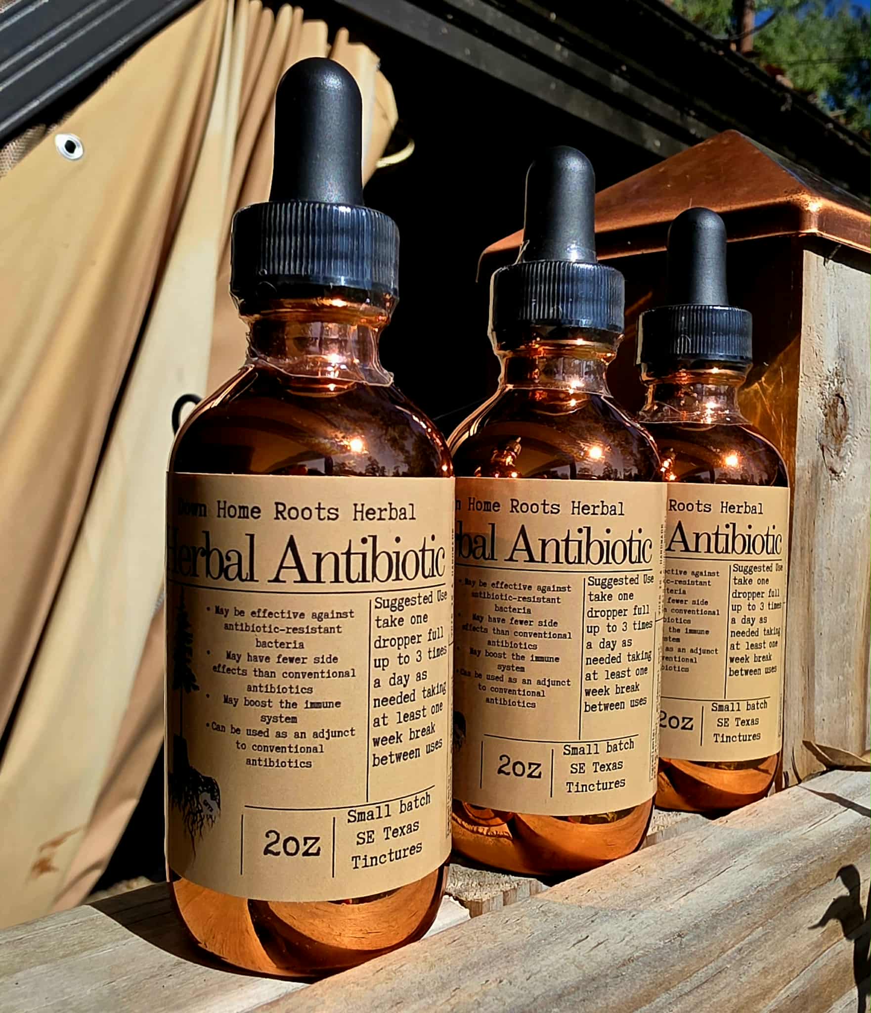 Herbal Antibiotic Tincture