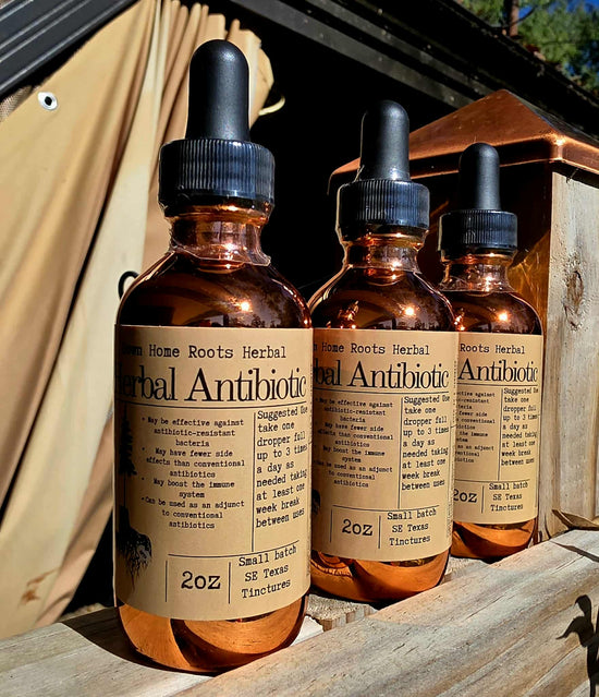 Herbal Antibiotic Tincture