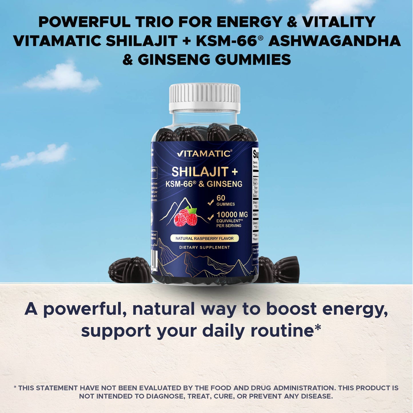 Shilajit with KSM-66® Ashwagandha & Ginseng (60 Gummies)