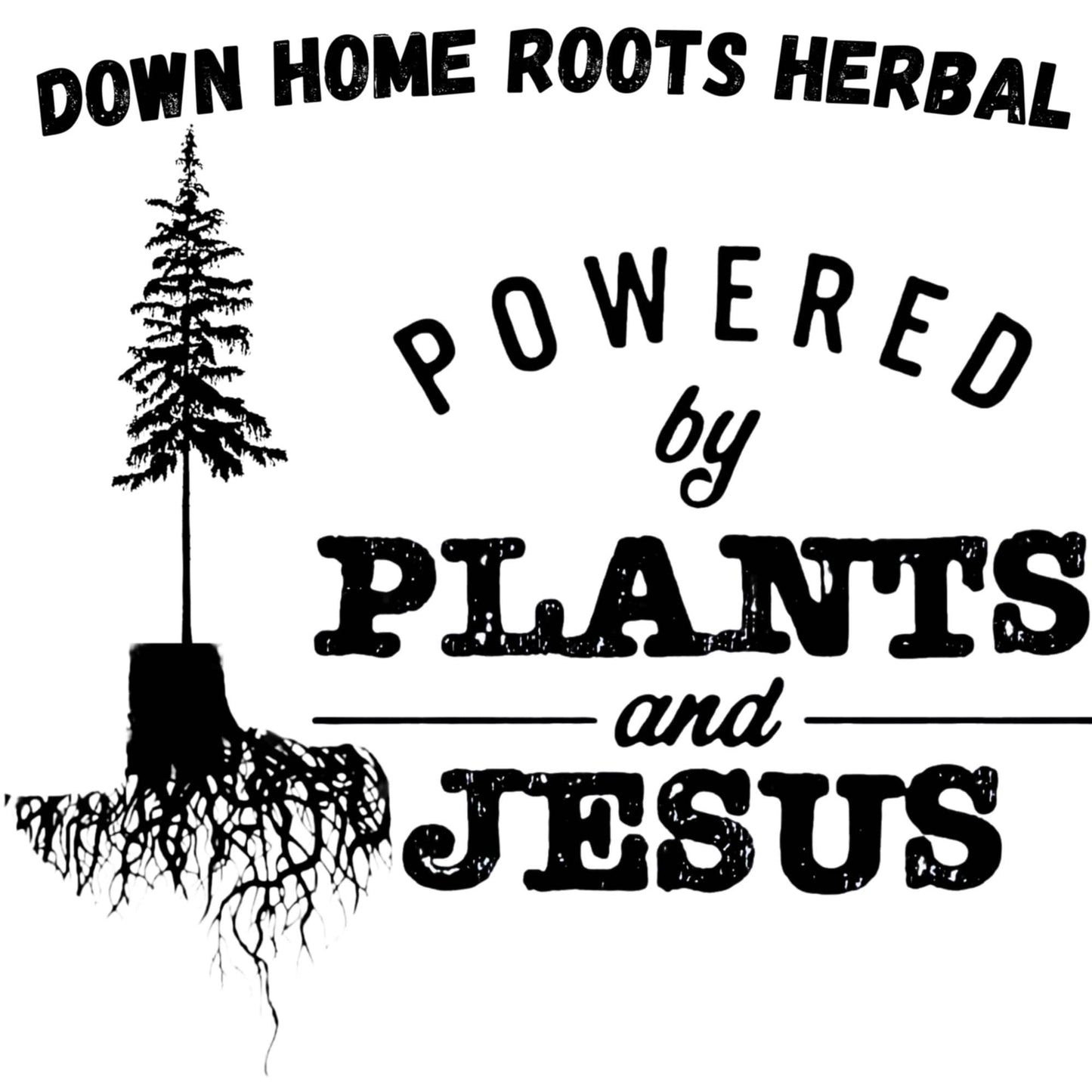 Biblical Blend - Herbal Tincture