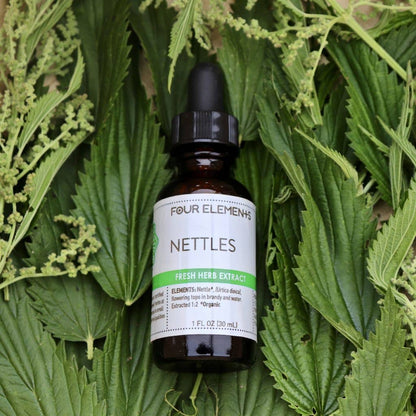 Nettles Tincture - 1 oz