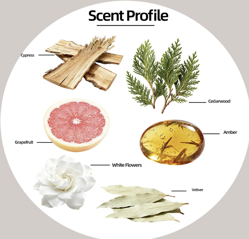 Cedarwood & Vetiver Soy Candle (7.05 oz)