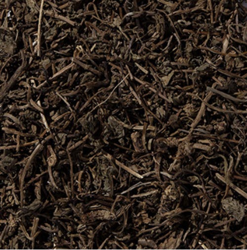 Gotu Kola Herb (Cut and Sifted) Wildcrafted (4 oz)