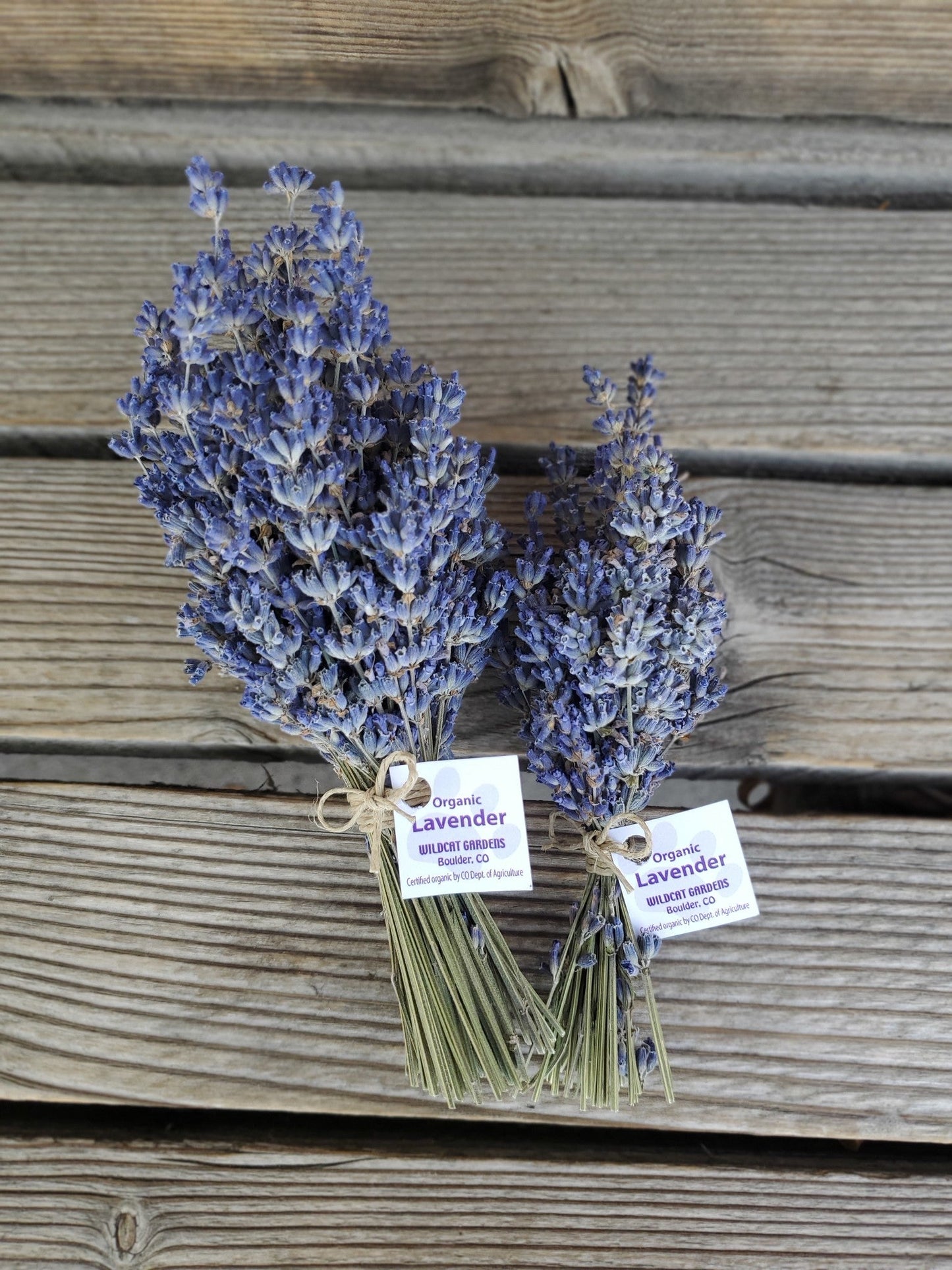 Lavender Bundle - Organic (Wildcat Gardens)