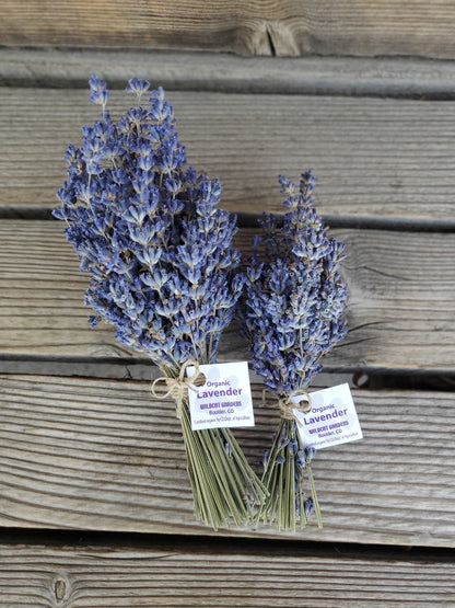 Lavender Bundle - Organic (Wildcat Gardens)