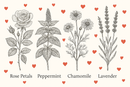 Mamaw's Love Tea - Calming, Supportive, & Loving