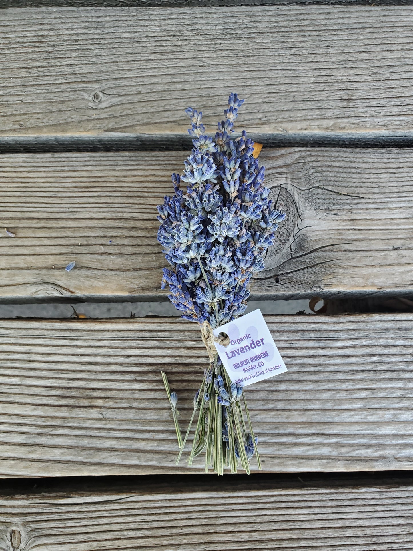 Lavender Bundle - Organic (Wildcat Gardens)
