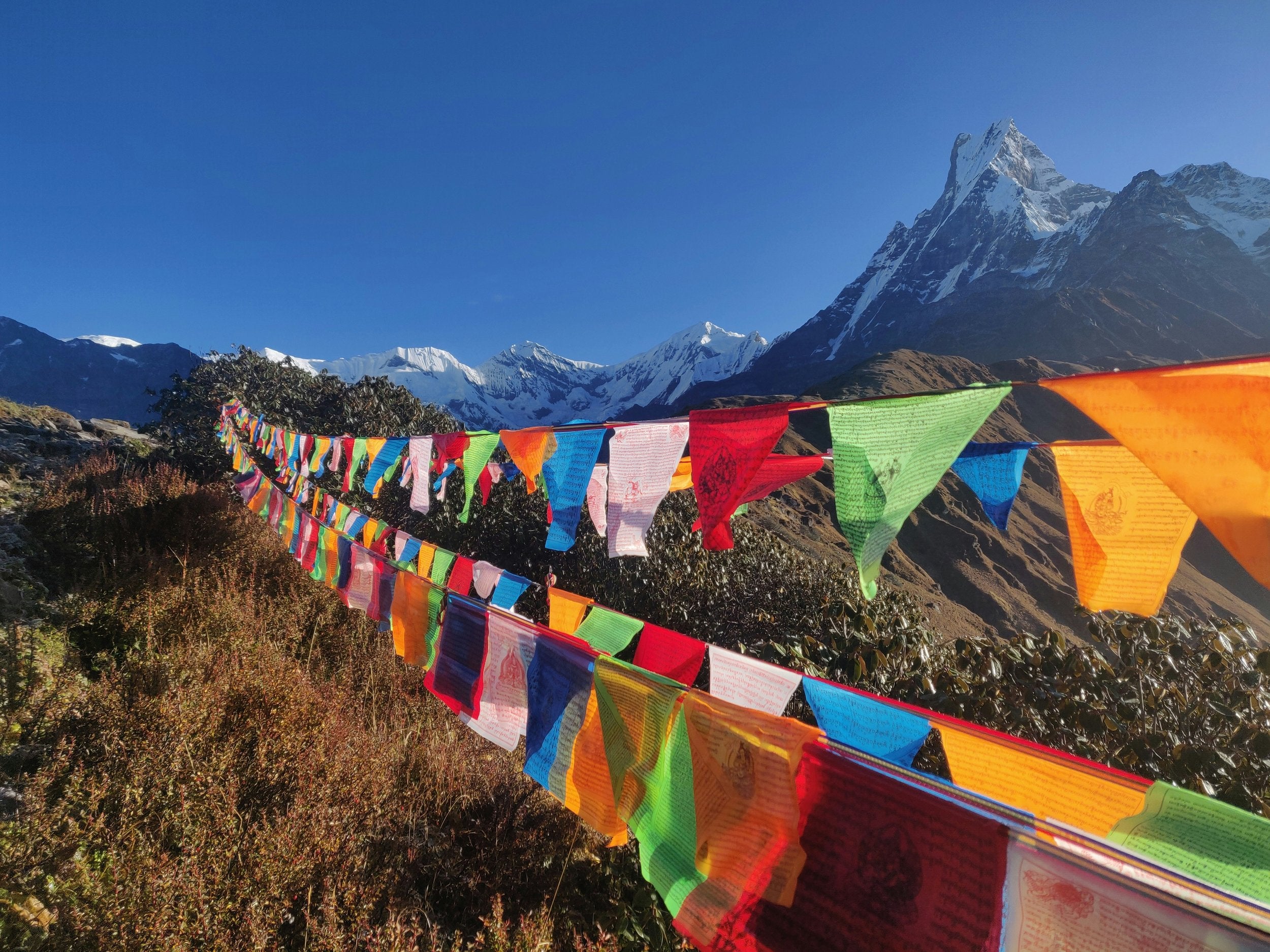 Tibetan Prayer Flags (5 Elements, 20 Flags)