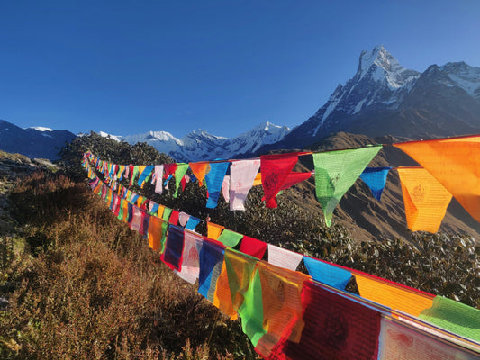 Tibetan Prayer Flags (5 Elements, 20 Flags)