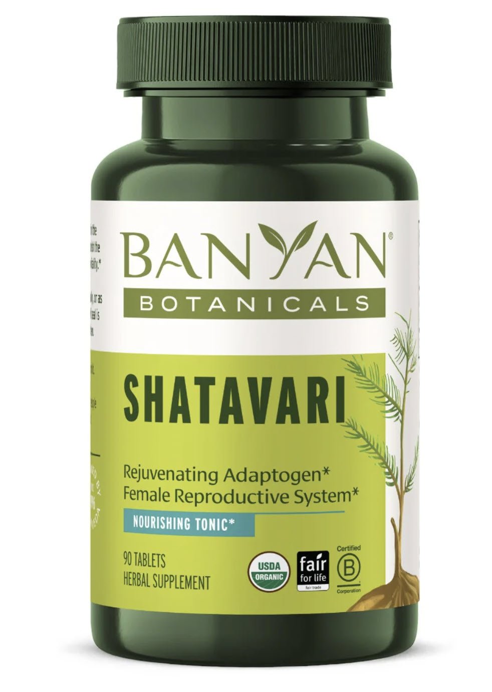 Shatavari Root (Organic) - Queen of the Herbs!