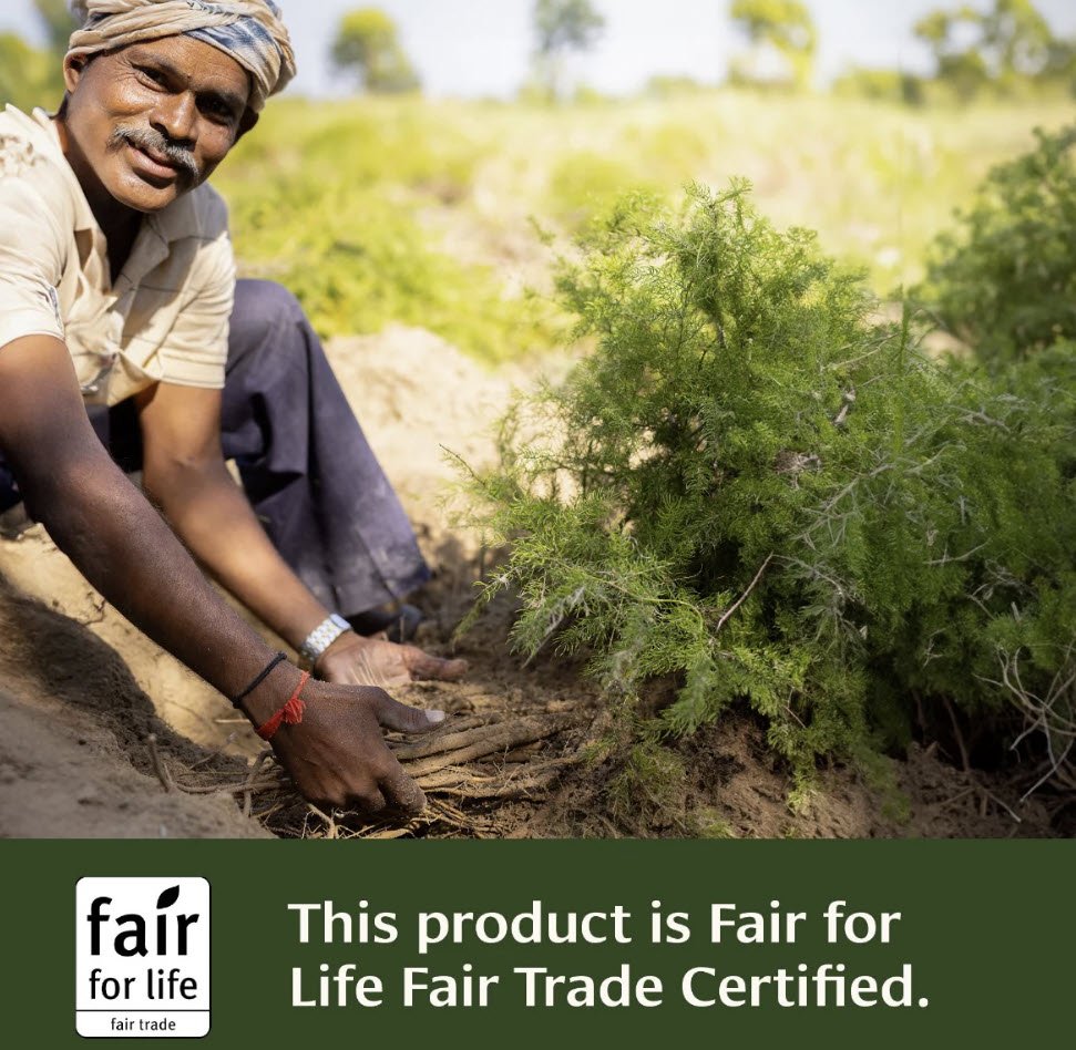 Shatavari Root (Organic) - Queen of the Herbs!