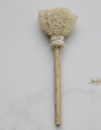Natural Loofah - Teacup Brush