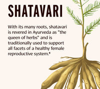 Shatavari Ghee - Vital Nourish (7.5 oz)