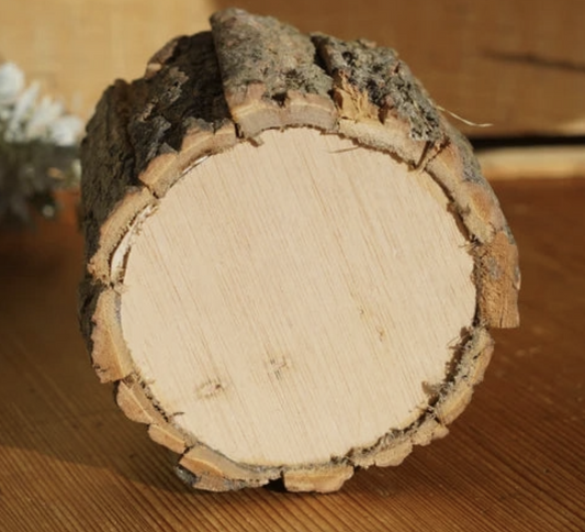 Wood Bark Candle Holder